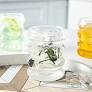 wholesale commercial drinkware 500ml from www.midashomewares.com