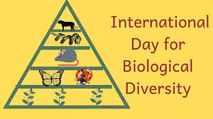 December 29, 1993 a date is set the anniversary of the convention on biological diversity is designated as the international day for biological diversity. International Day For Biological Diversity 22 May