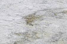 White Granite with Veins: Best Options 2026 | Marble.com