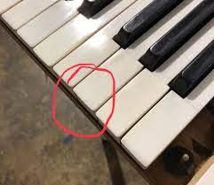 Don't allow salt and juice to be left behind, as they may form a sticky layer that will be harder to clean later. Ivory Piano Key Repair Moore Piano