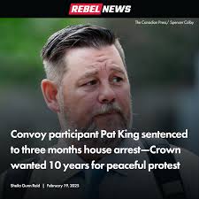 Convoy participant Pat King's defence highlighted his compliance with bail  conditions and the personal and financial toll the legal proceedings have  taken