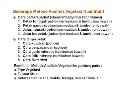 We did not find results for: Dalam Ekologi Tumbuhan Ppt Download