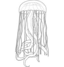 We did not find results for: Jellyfish Realistic Vector Images 96