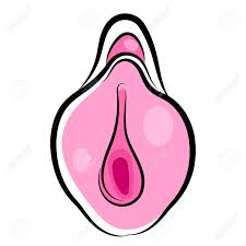 Are you an arya, a clarissa, or a buffy? Human Vagina Vaginal Opening Or Female Reproductive Sex Organ Line Art Elements Of Body Parts Set Simple Icon For Websites Web Design Mobile App Royalty Free Cliparts Vectors And Stock Illustration Image