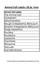 If your students find this animal cell labelling resource useful, this plant cell diagram is a similar labelling activity for plant cells. Animal Cell Labels By Homemade For Play Teachers Pay Teachers