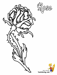 5 out of 5 stars. Sweet Rose Flowers Coloring Pages 26 Free Rose Coloring Pages