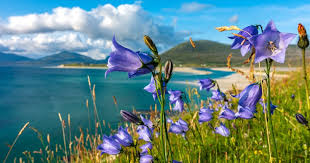 What's Spring Like in the UK & Ireland| Rabbie's Tours