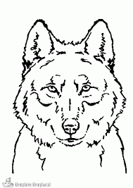 Moeilijke kleurplaat wolf kleurplaten en zo kleurplaat van. Www Kleurplaten Nl Dieren