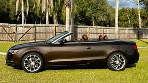 Image result for Teak Brown 2012 A5
