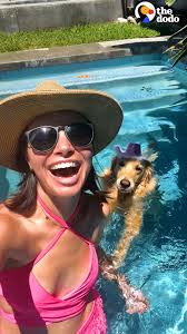 Golden Retriever Uses His Mom's Raft To Save His Ball From Pool