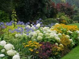 Raised garden beds are a great way to lay out a vegetable garden. How To Build A Flower Bed Starting A Flower Bed From Scratch Gardening Know How
