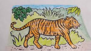 We did not find results for: International Tiger Day Picture Collection Youtube