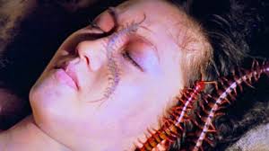 Centipede Horror (1982)