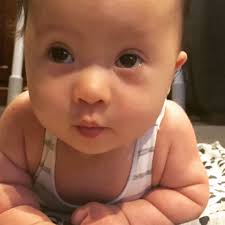 Fundraiser for Stephanie Handson by Jacqui Reed : Help Ivy get a Fast Break