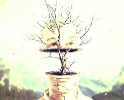 Ruyada Yatakta Yuzustu Yatan Birini Gormek Halisruyalar Com