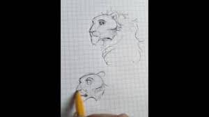 Also, draw small, button noses, and use 2 small curves to draw each mouth so it looks like your animals are smiling. How To Draw Anime Lion Youtube