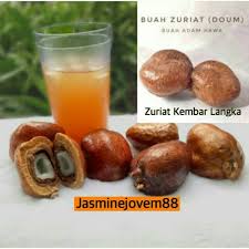 Buah zuriat atau nama saintifiknya hyphaene thebaica banyak dijumpai di sekitar hulu sungai nil selain itu, buah zuriat dijadikan minuman tradisional masyarakat mesir dan biasanya ia diamalkan. Buah Adam Hawa