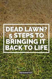 Pin On Lawn Care