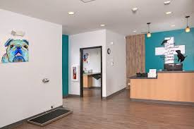 Color Schemes Hospital Design Clinic Interior Design Hospital Interior