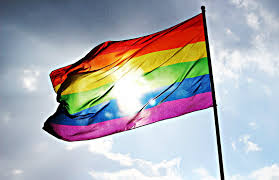 The rainbow flag is the most widely used lgbt flag and lgbt symbol in general. 18 Pride Flags You Might Not Have Seen Before