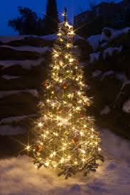Led Lichterketten Fur Den Innen Und Aussenbereich Led Lichterkette Lichterkette Draussen Und Lichterkette
