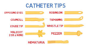 A catheter is a soft hollow tube, which is passed into the bladder to drain urine. Introduction To Urinary Catheters Youtube