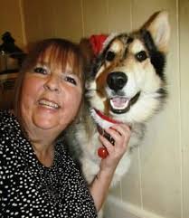 Golden Greetings. My last Christmas set.