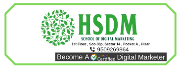 Haryana School of Digital Marketing | LinkedIn