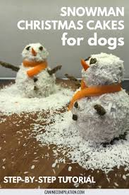 Healthy Christmas Cake For Dogs Easy Tutorial Dog Cakes Dog Safe Cake Recipe Dog Treats Homemade Recipes