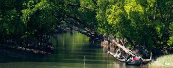 Sundarban Tourism