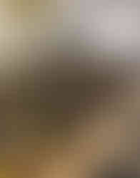 Evans City Attractions More than Meet the Eye