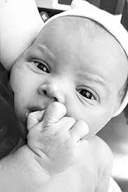 Council Hopes 'Wildflower' Encourages Growth In Litchfield