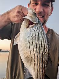 Profil za The Athens Fish and Game Club