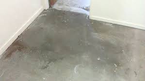 Check spelling or type a new query. Damp Proofing A Garage Floor Damp Proofing For Concrete Floors Garage Damp Diy Doctor