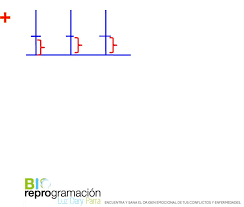 56 y 62 del atlas de geografía universal y realizar las actividades que se piden en el libro en equipo. Modulo 1 Bioreprogramacion Pdf Txt
