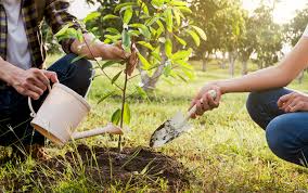 It can be hard to determine how much water your garden is getting. How To Keep Your Garden Well Watered Better Homes Gardens