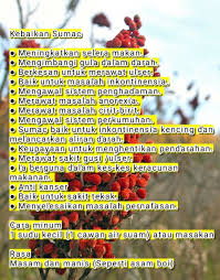 Jika makanan untuk orang yang sedang sakit pastinya makanan yang bergizi dan berserat seperti sayur dan buah — buahan, sup , bubur, dan makanan lain yang mudah ditelan. Sumac Original Freegift Makanan Sunnah Shopee Malaysia
