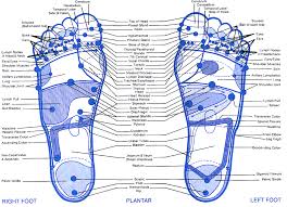 Reflexology Foot Chart Reflexology Foot Chart Reflexology Chart Foot Reflexology