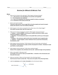 In animal, fungal, and algal cells, cytokinesis begins as the cell membrane pinches in at both ends of the cell equator, dividing the parent cell's cytoplasm equally between the newly forming cells. Review Sheet For Mitosis And Meiosis Answer Key
