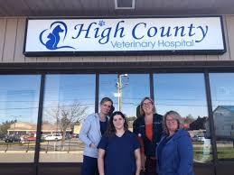 Maybe you would like to learn more about one of these? Shelburne On Veterinarian High County Veterinary Hospital