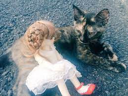 Maybe you would like to learn more about one of these? Zoophily Hashtag On Twitter