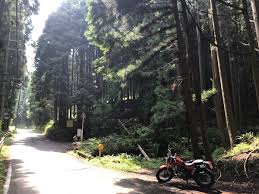 マジやることねぇから自由に書くブログ