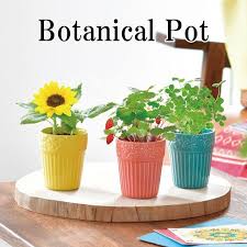 栽培キット Botanical Pot ボタニカル ポット 栽培セット ワイルドストロベリー ミニヒマワリ 四つ葉のクローバー ハーブ かわいい オシャレ Sst017 癒しグッズ専門店 なごみ 通販 Yahoo ショッピング