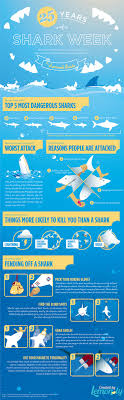 the shark survival guide infographic dul shark survival