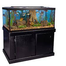 Marineland 75 Gallon Aquarium Majesty Ensemble Fish Aquariums Petsmart 75 Gallon Aquarium Aquarium Stand Aquarium