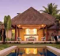 Palmex Synthetic Thatch | Distributor in Fiji