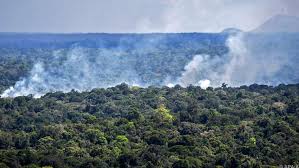 Der amazonas regenwald ist derzeit ein großes thema, da unzählige waldbrände diese schöne in südamerika brennt der amazonas regenwald. Amazonas Regenwald Stosst Mehr Co2 Aus Als Er Absorbiert