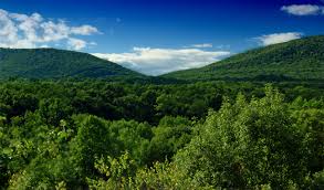 Elevation Of Bushkill Township Pa Usa Topographic Map Altitude Map