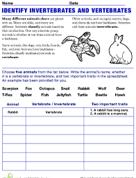 Vertebrate Or Invertebrate Lesson Plan Education Com Lesson Plan Education Com Vertebrates And Invertebrates Sixth Grade Science Science Printables