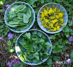 How to preserve dried flowers. How To Harvest And Dry Flowers Herbs From Your Garden
